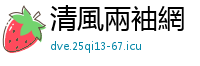 清風兩袖網